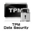 Trusted Platform Module (TPM) data security