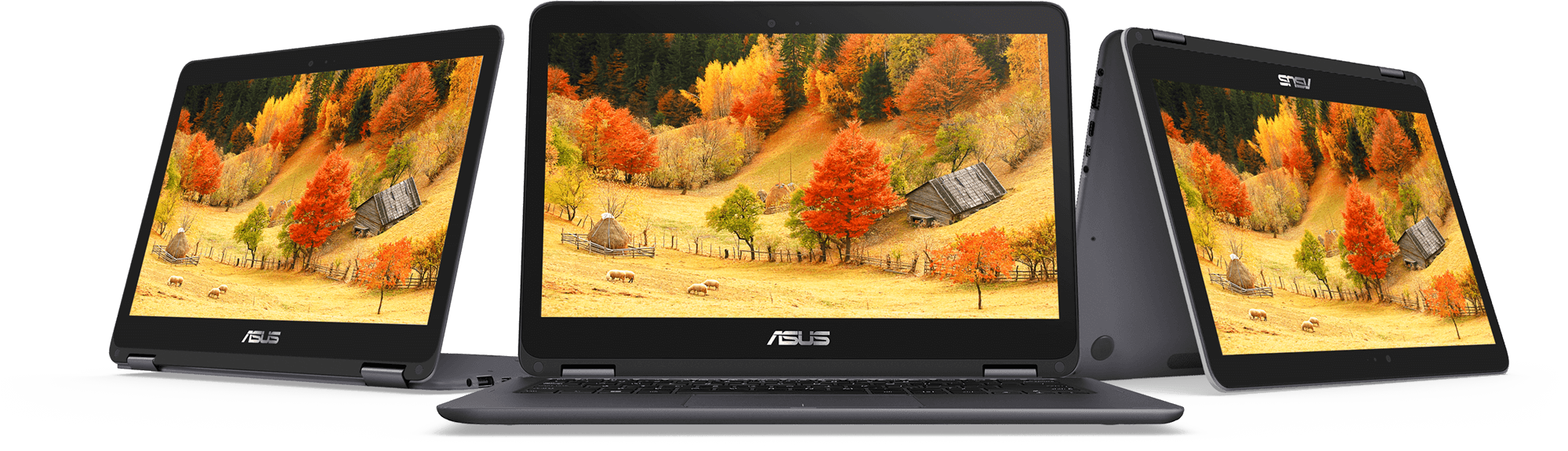 Asus 360