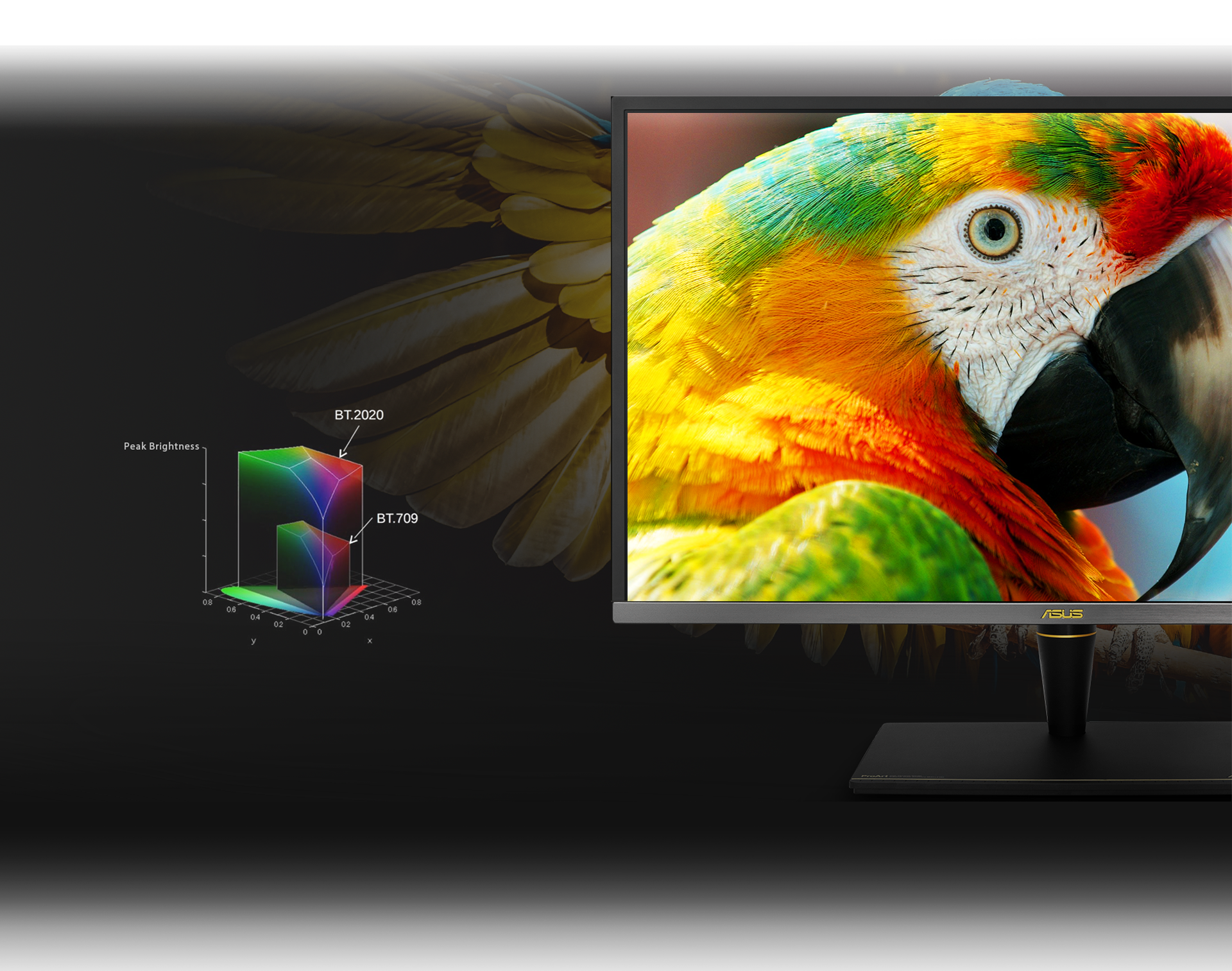  Transform Your Viewing Experience 