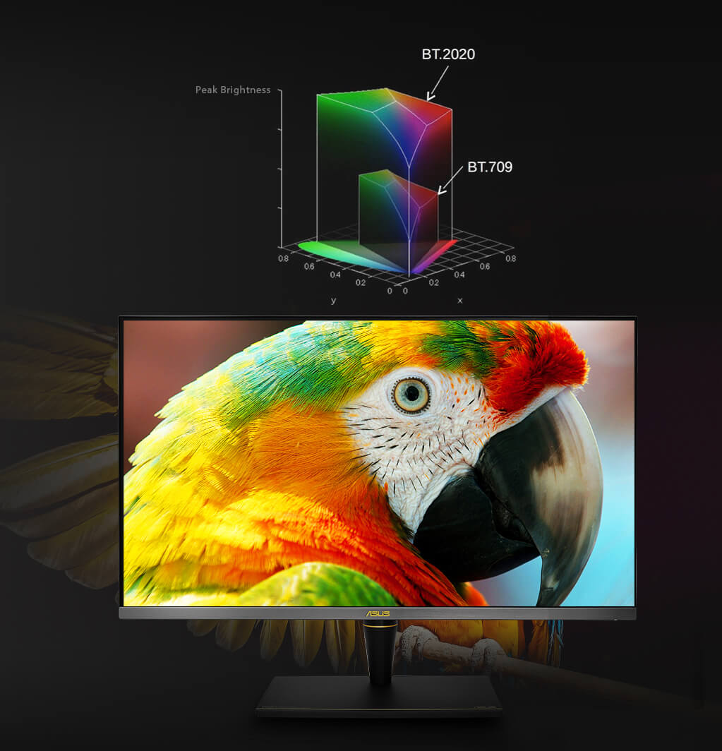 Das ASUS ProArt Display PA32UCX-PK unterstützt eine breite Palette von Farben