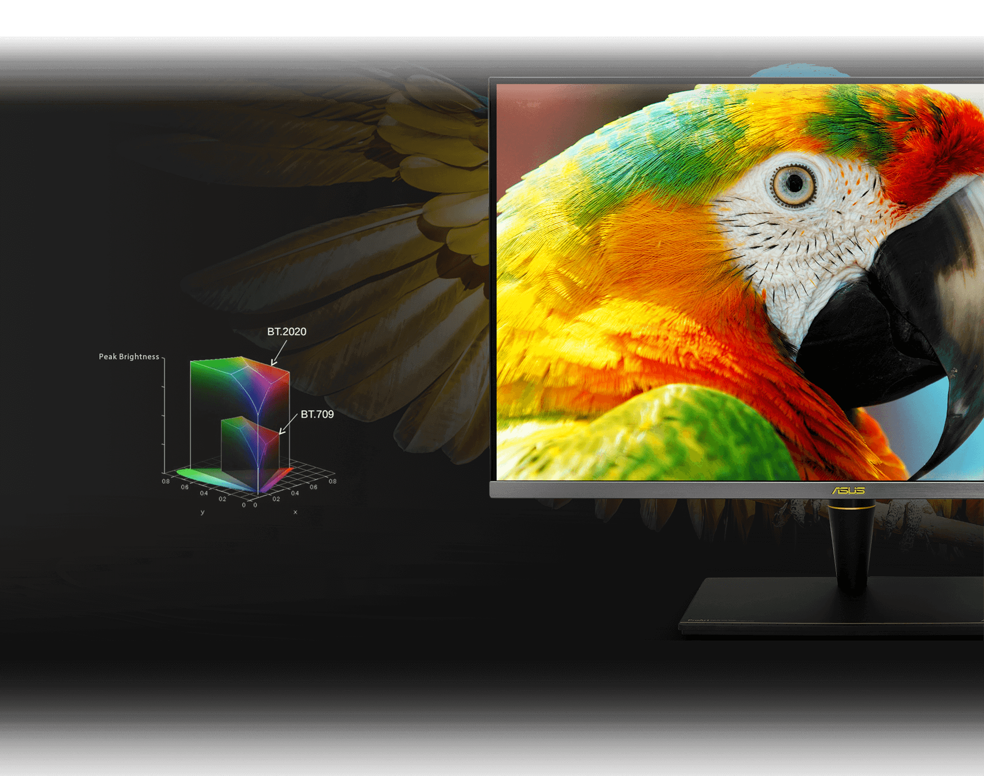 Das ASUS ProArt Display PA32UCX-PK unterstützt eine breite Palette von Farben