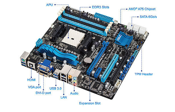 Asus r 2.0. ASUS f1a75-m. ASUS f1a75-m le. Материнская плата ASUS f1a75-m Pro. ASUSTEK Computer Inc материнская плата f1a75.