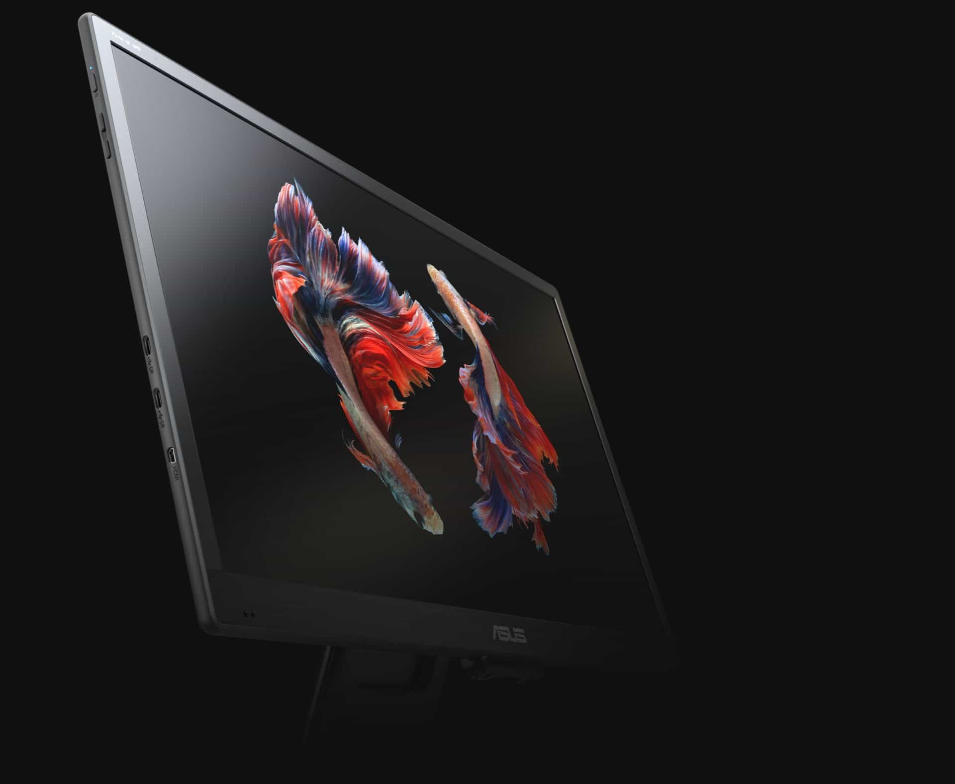 Asus ProArt PQ22UC - Monitor profesional portátil 4K OLED