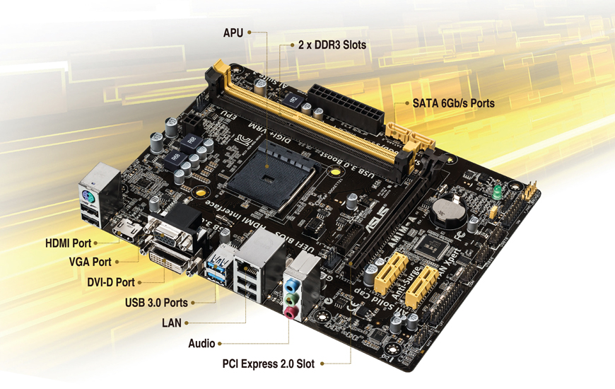 AM1M-A | Motherboards | ASUS India