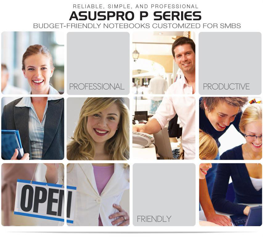 the ASUSPRO P Series