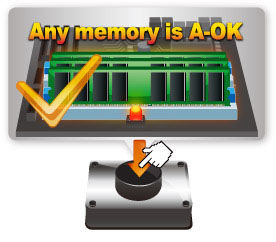 MemOK!