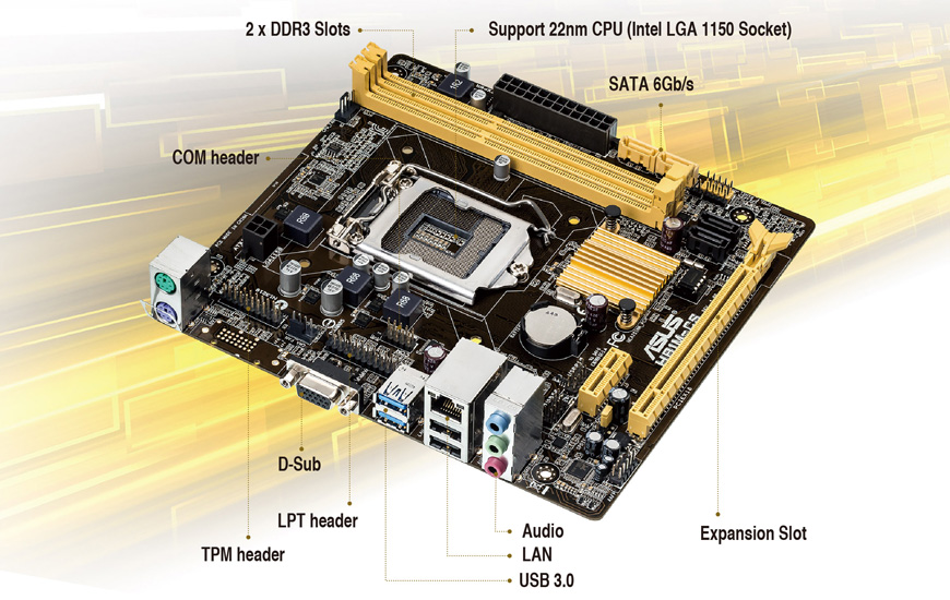 ASUS Mini ITX DDR3 1600 LGA 1150 Placa base H81T/CSM