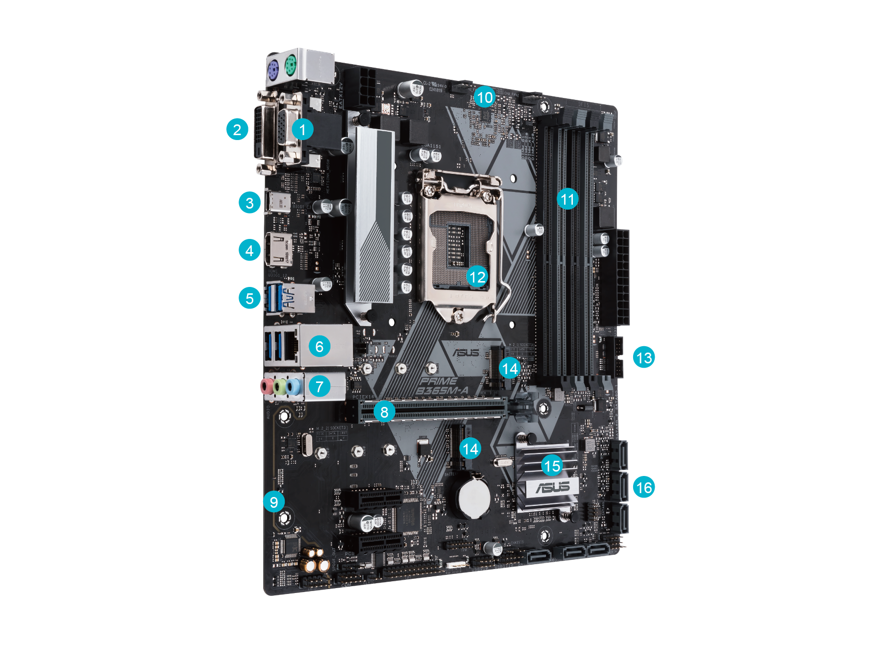 マザーボード ASUS PRIME B365M-A LGA1151 8／9世代④-